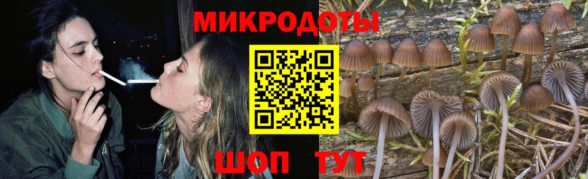 Орёл  Псилоцибиновые грибы Psilocybe  Вход с VPN 